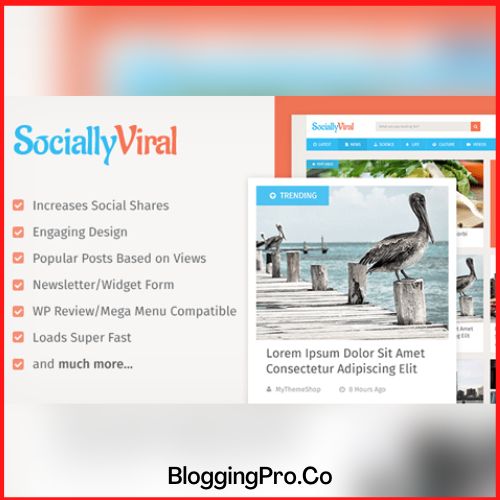 SociallyViral – Viral WordPress Blog Theme