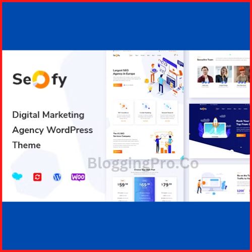Seofy - Digital & Marketing Theme With Key