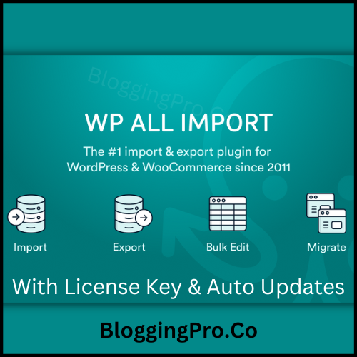 WP All Import Plugin