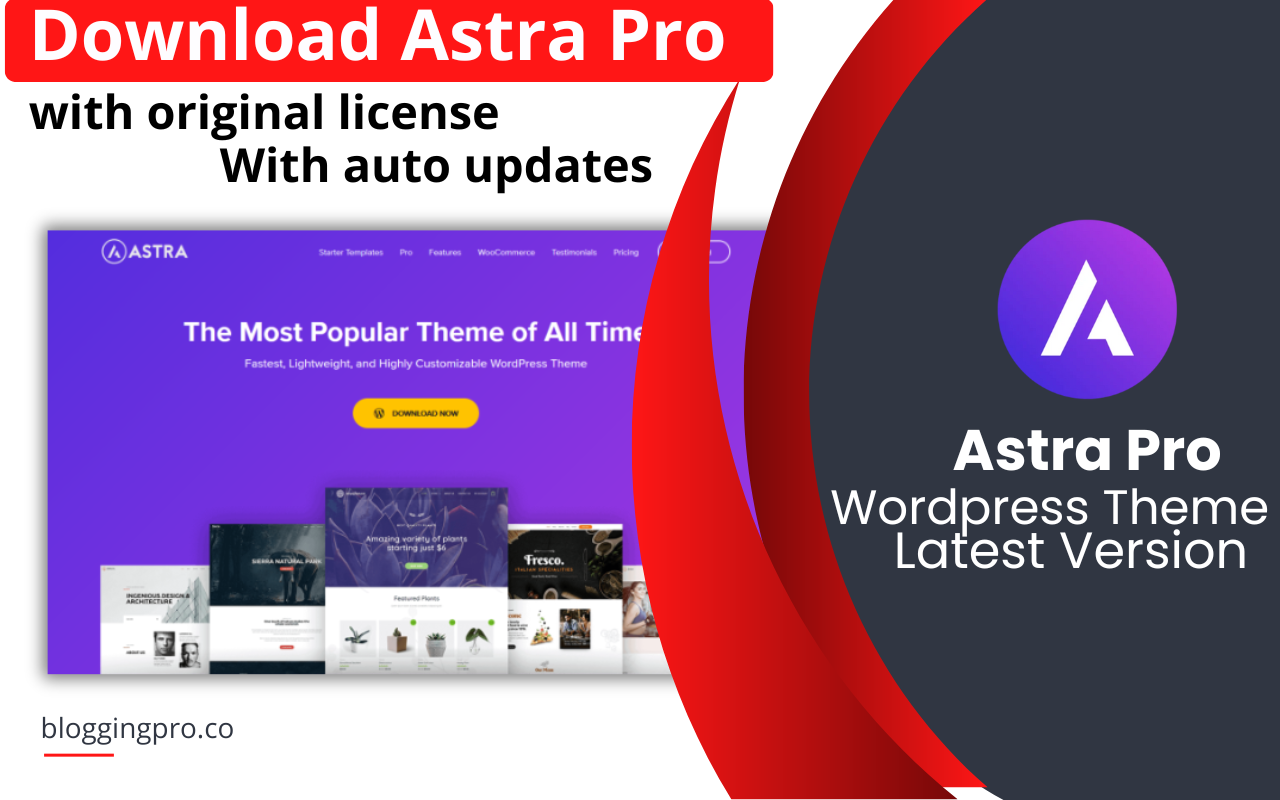 download Astra Pro with original license key & auto updates